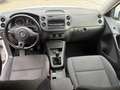 Volkswagen Tiguan 2.0 TDI 110CV Business Sport & Style OK NEOPATENTA Bianco - thumbnail 7