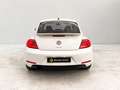 Volkswagen Beetle 1.6TDI 53 Edition Wit - thumbnail 4
