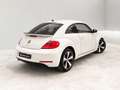 Volkswagen Beetle 1.6TDI 53 Edition Blanc - thumbnail 5