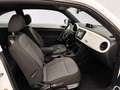 Volkswagen Beetle 1.6TDI 53 Edition Wit - thumbnail 12