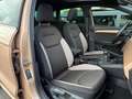 SEAT Ibiza 1.0 TSI Excellence Pano LED Camera Gris - thumbnail 5