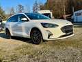 Ford Focus LED-Technik, Panorama-Dach, Winter-Paket Weiß - thumbnail 3