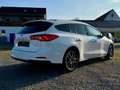 Ford Focus LED-Technik, Panorama-Dach, Winter-Paket Weiß - thumbnail 4