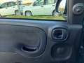 Fiat Panda Pandina 1.0 firefly hybrid s&s 70cv Vert - thumbnail 13
