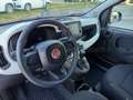 Fiat Panda Pandina 1.0 firefly hybrid s&s 70cv Vert - thumbnail 20