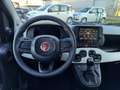 Fiat Panda Pandina 1.0 firefly hybrid s&s 70cv Vert - thumbnail 8