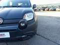 Fiat Panda Pandina 1.0 firefly hybrid s&s 70cv Vert - thumbnail 18