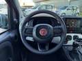 Fiat Panda Pandina 1.0 firefly hybrid s&s 70cv Vert - thumbnail 21
