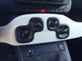 Fiat Panda Pandina 1.0 firefly hybrid s&s 70cv Vert - thumbnail 10
