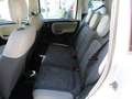 Fiat Panda Rock 4x4 Weiß - thumbnail 6
