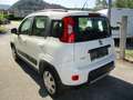 Fiat Panda Rock 4x4 Weiß - thumbnail 2