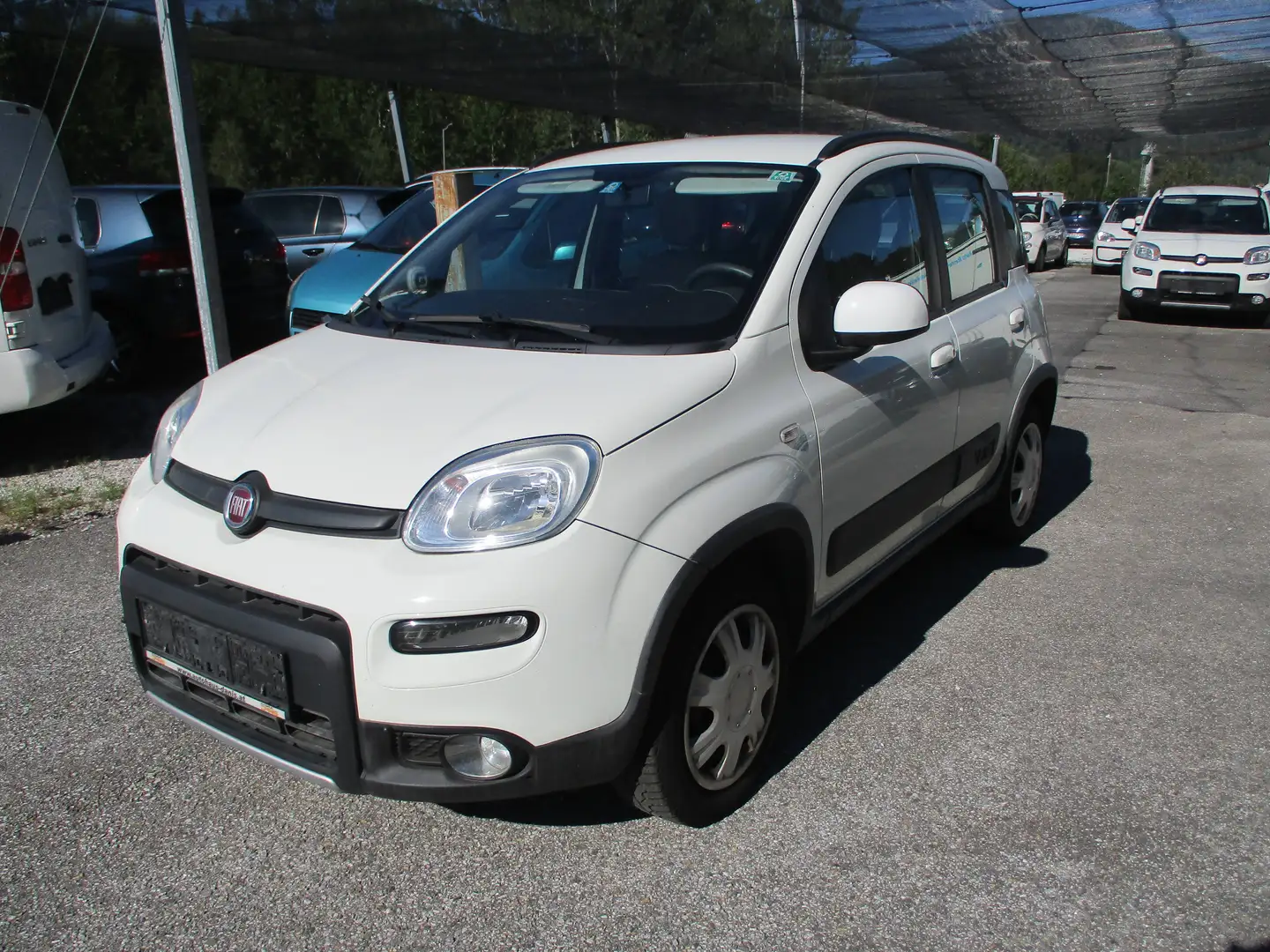 Fiat Panda Rock 4x4 Weiß - 1
