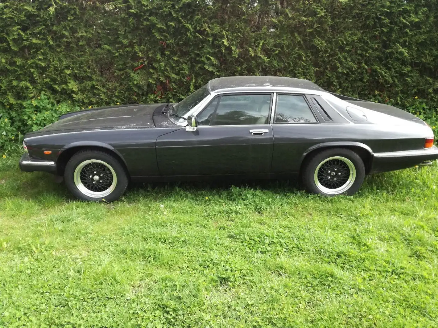 Jaguar XJS Negro - 1