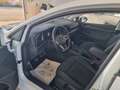Volkswagen Golf Golf 8 1,0 TSi United - Neuwertig! Wit - thumbnail 14