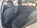 Volkswagen Golf Golf 8 1,0 TSi United - Neuwertig! Wit - thumbnail 12
