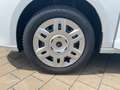 Ford Transit Connect Kasten 2.0 EcoB. L1 AHK ACC Weiß - thumbnail 12