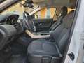 Land Rover Range Rover Evoque 2.0 TD4 150 CV 5p. HSE Weiß - thumbnail 13