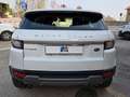 Land Rover Range Rover Evoque 2.0 TD4 150 CV 5p. HSE Weiß - thumbnail 5