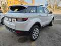 Land Rover Range Rover Evoque 2.0 TD4 150 CV 5p. HSE Weiß - thumbnail 4