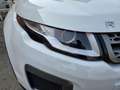 Land Rover Range Rover Evoque 2.0 TD4 150 CV 5p. HSE Weiß - thumbnail 16