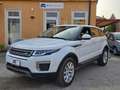 Land Rover Range Rover Evoque 2.0 TD4 150 CV 5p. HSE Weiß - thumbnail 1