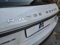 Land Rover Range Rover Evoque 2.0 TD4 150 CV 5p. HSE Weiß - thumbnail 33