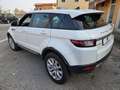 Land Rover Range Rover Evoque 2.0 TD4 150 CV 5p. HSE Weiß - thumbnail 6