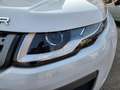 Land Rover Range Rover Evoque 2.0 TD4 150 CV 5p. HSE Weiß - thumbnail 17