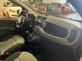 Fiat Panda 1.2  Lounge Grigio - thumbnail 7