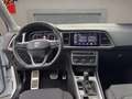 SEAT Ateca FR 1.5 TSI 110 kW (150 PS) 7-Gang-DSG Biały - thumbnail 13