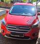 Ford Kuga Kuga 1.5 EcoBoost 2x4 Cool Rot - thumbnail 1