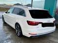 Audi A4 allroad A4 Allroad quattro 2,0 TDI quattro S-tronic Allroad Weiß - thumbnail 3