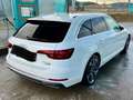 Audi A4 allroad A4 Allroad quattro 2,0 TDI quattro S-tronic Allroad Weiß - thumbnail 2