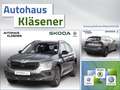 Skoda Kamiq 1.5TSI 110 KW DSG AHK MATRIX ACC RKAM VC LM Grijs - thumbnail 1