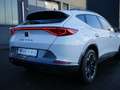 CUPRA Formentor 1.5 TSI PDC SHZ KAMERA NAVI ACC LED Weiß - thumbnail 23