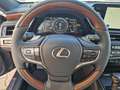 Lexus ES 300 h Luxury Line HUD, LED, Navi, Schiebedach Szary - thumbnail 12