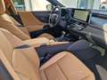 Lexus ES 300 h Luxury Line HUD, LED, Navi, Schiebedach Grijs - thumbnail 8