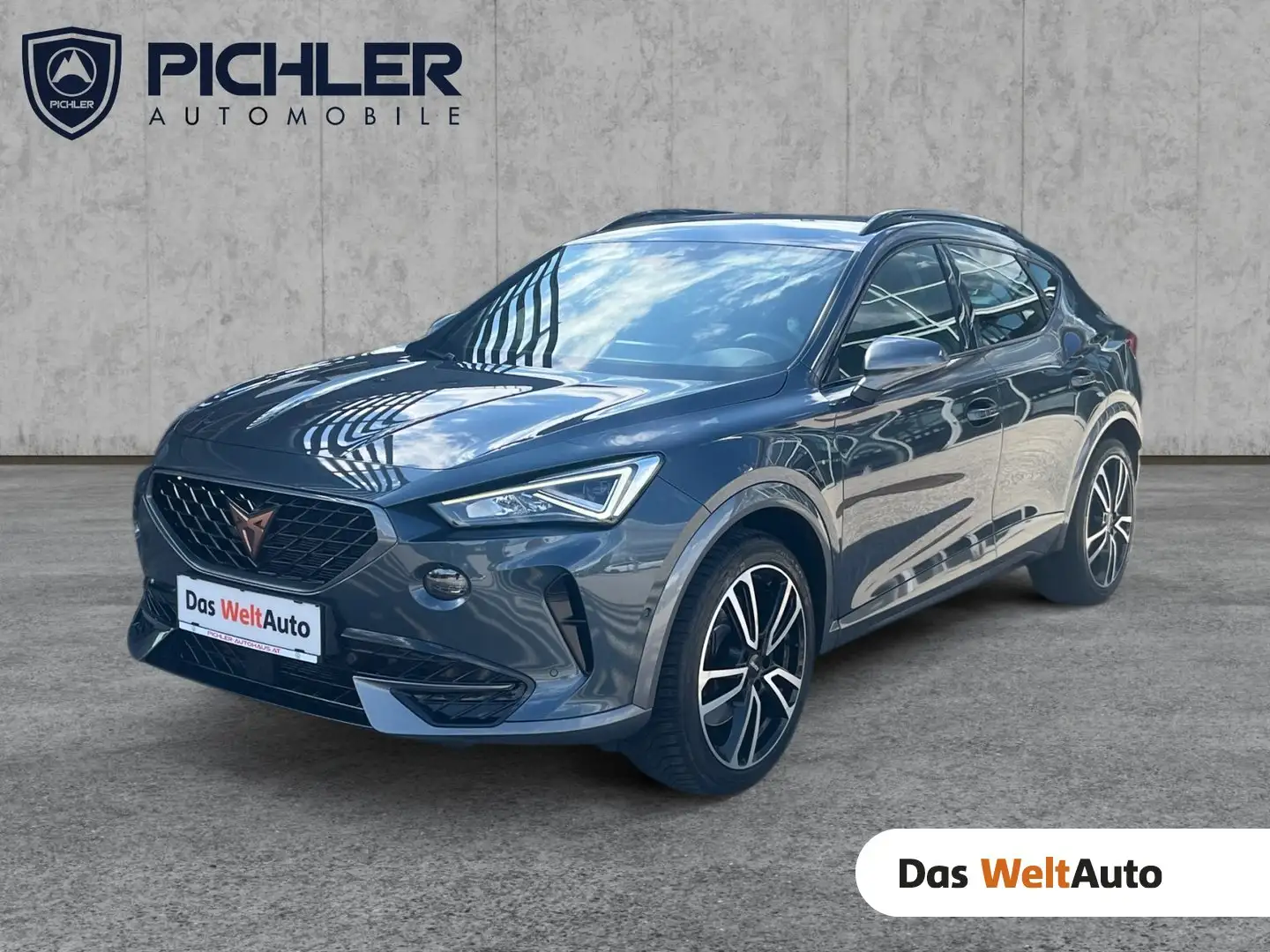 CUPRA Formentor VZ 2.0 TSI 310 PS DSG 4Drive Grau - 1
