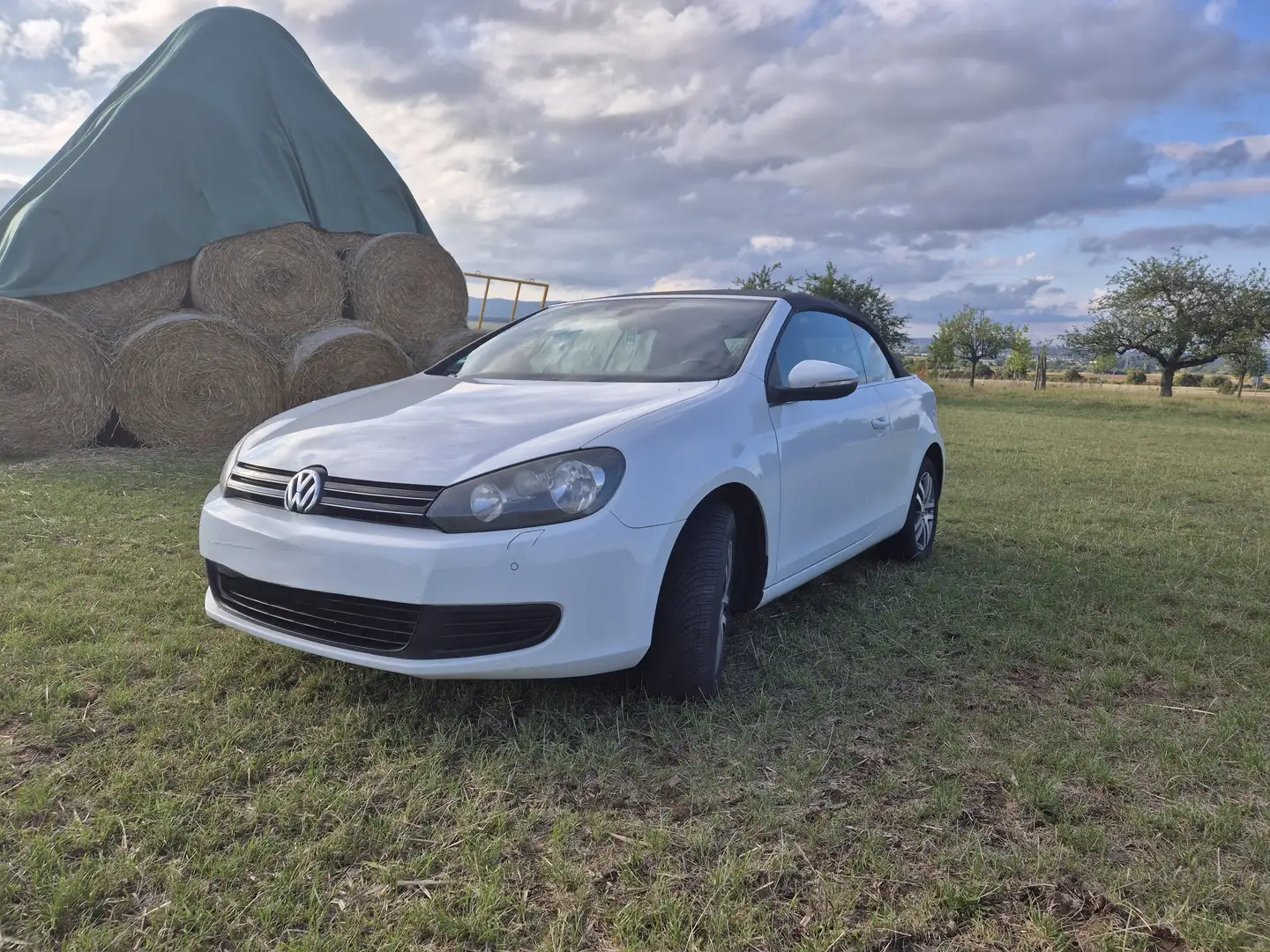 Volkswagen Golf Cabriolet Golf VI Cabrio Cabrio 1.2 TSI - 1
