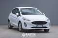 Ford Fiesta 1.5 Ecoblue 85CV Business Bianco - thumbnail 1