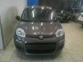 Fiat Panda 1.0 FireFly S&S Hybrid Prezzo Promo 4635 Km! Gris - thumbnail 3