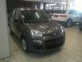 Fiat Panda 1.0 FireFly S&S Hybrid Prezzo Promo 4635 Km! Gris - thumbnail 4