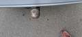 Volkswagen Passat Variant Comfortline BMT/Start-Stopp Gris - thumbnail 21