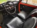 Fiat 500L FIAT 110 F ( BERLINA L) Rosso - thumbnail 11