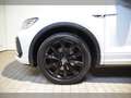Volkswagen T-Roc TSI R-Line DSG AHK - Panodach - RearView Weiß - thumbnail 5