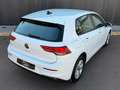 Volkswagen Golf 2.0TDI 85kW Gris - thumbnail 6