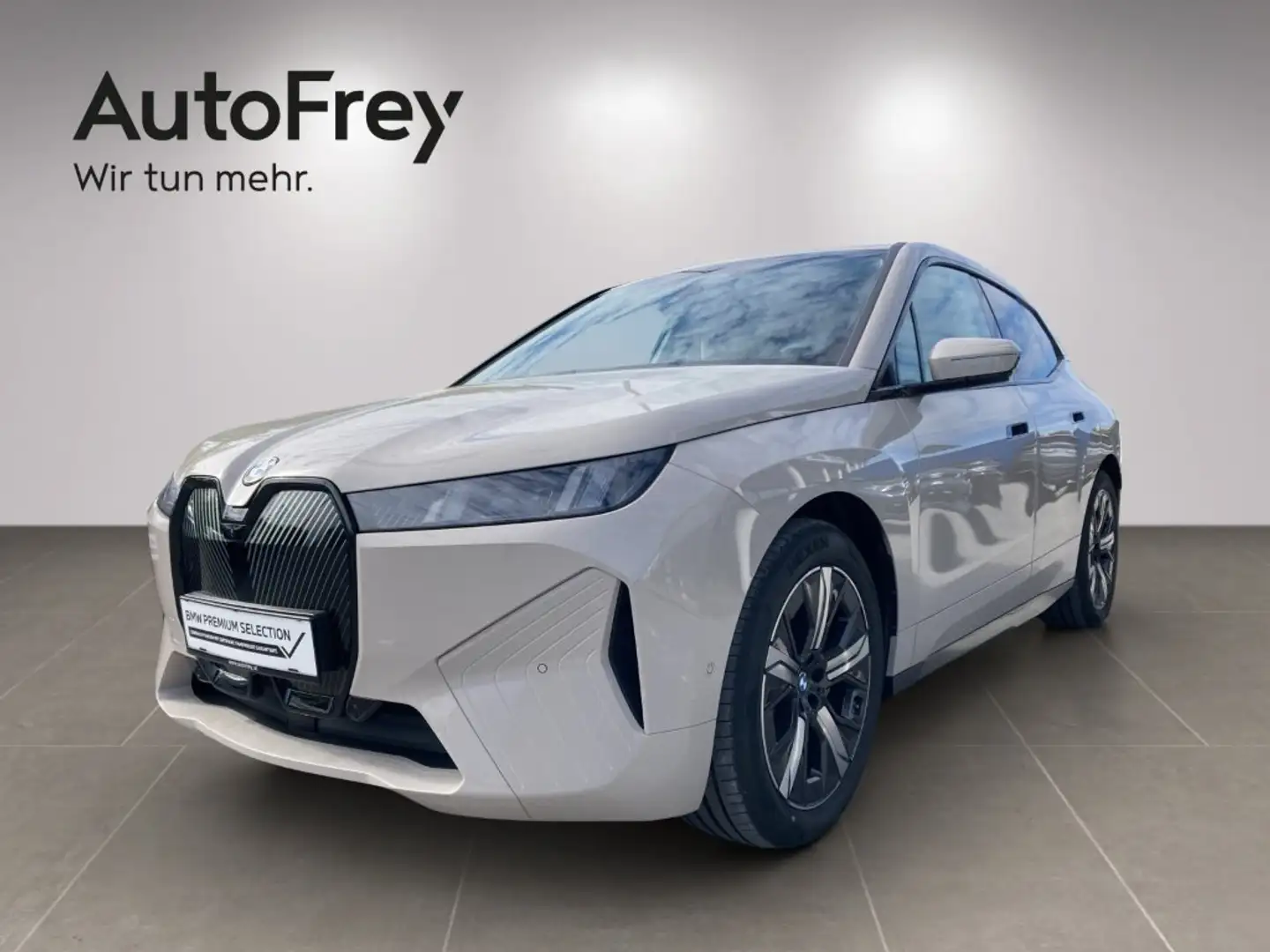BMW iX iX xDrive45 Grau - 1
