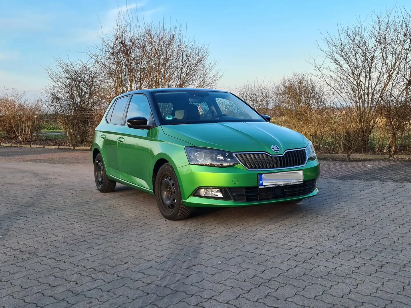 Skoda Fabia Fabia 1.2 TSI Style Grün - 1