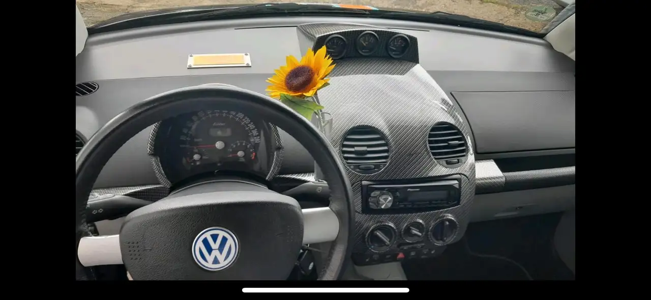 Volkswagen New Beetle 2.0, foto 9