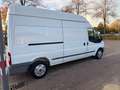 Ford Transit 2.2 Diesel-FT 300 L LKW Weiß - thumbnail 11